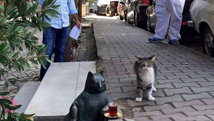 Oturuşuyla ünlenen kedi Tombili'nin heykeli açıldı