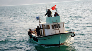 Palamut yüz güldürmeye devam ediyor