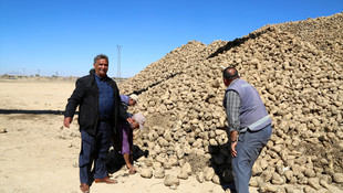Pancar üreticilerinden randevulu alım sistemine tepki