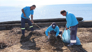 Sahilden 580 ton atık toplandı