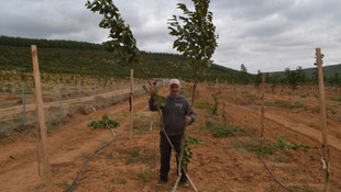 Seydiköylülerin umutlarını baltayla kestiler