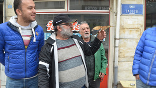 Sinop'ta yaralı halde bulunan balaban kuşu tedaviye alındı