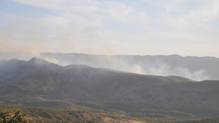 Şırnak'ta terör operasyonu