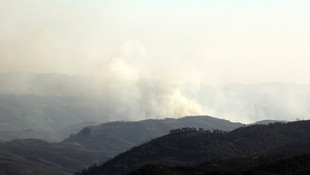 Suriye sınırında orman yangını