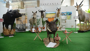 Tanzanya'nın vahşi doğası EXPO 2016 Antalya'da