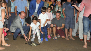 Tedavileri tamamlanan caretta carettalar deniz ile buluştu