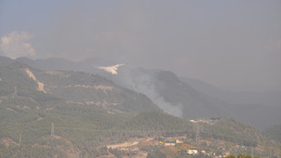 Teröristler orman yangını çıkardı