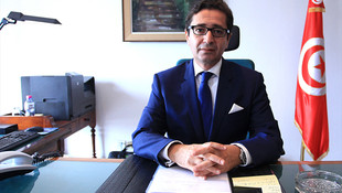 Tunus ekonomisinde kalkınma arayışları