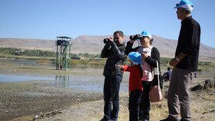 Van'da flamingo festivali