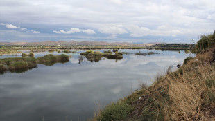 Yeni sulak alanlar tespit edildi