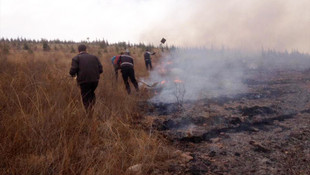 Yozgat'ta orman yangını