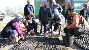 71 yıllık fidan üretim merkezi