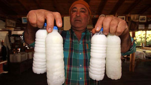 Muğlada eşek sütüne yoğun ilgi