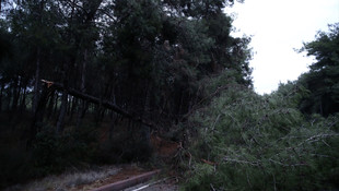 Adana'da kuvvetli rüzgar