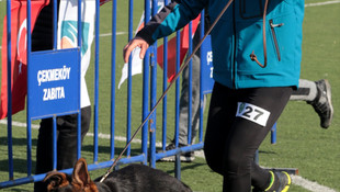 Alman Çoban Köpekleri Türkiye Şampiyonası yapıldı