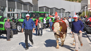 Anadolu EXPO 3. Canlı Hayvan Fuarı