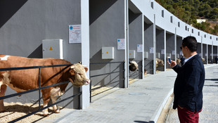 Anadolu EXPO 3. Canlı Hayvan Fuarı