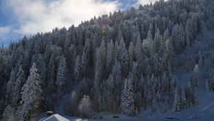 Artvin'de kar yağışı