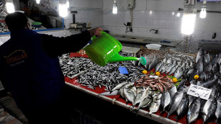 Balıkçılar palamuttan sonra lüferden de umutlu