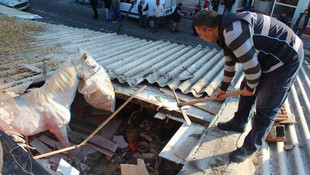 Balıkçının çatısından at düştü