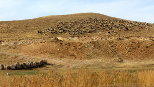Besiciler, zorlu kış mesaisine başladı
