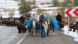 Besicilerin sıcak bölgelere zorlu yolculuğu