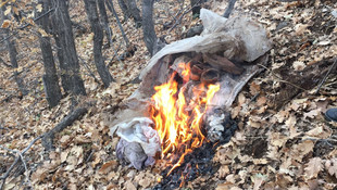 Bingöl'de terörle mücadele