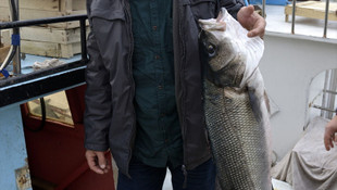 Bir metrelik levrek bin liraya satıldı