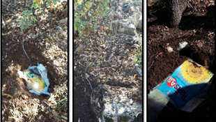 Bitlis'teki terör operasyonu