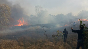 Çanakkale'de tarım arazisi yangını