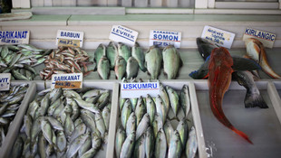 Denizlerdeki bolluk, tezgahlarda çeşitliliği arttırdı