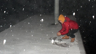 Doğu Anadolu'da kar yağışı