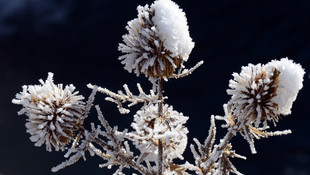 Doğu Anadolu'da soğuk hava