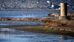 Flamingolar Bodrum'a gelmeye başladı