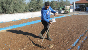 Hasat edilen ürünler sokaklarda kurutuluyor
