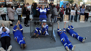 Hayvanat bahçesine tepki için kafese girdiler