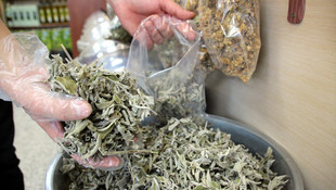 Ihlamurun yerini ada çayı aldı