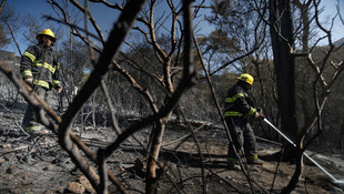 İsrail'de çıkan yangınlar dördüncü gününde