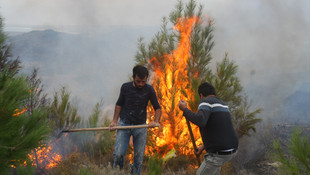 İzmir'de makilik alanda yangın
