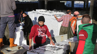 Karadeniz'de hamsi avcılığı