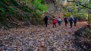 Kazdağları'na sonbahar ilgisi