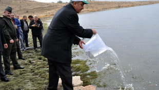 Kırıkkale'de 100 bin pullu sazan baraj gölüne bırakıldı