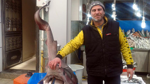 Kocaeli'de camgöz yakalandı