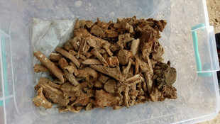 Konya'da bulunan Roma dönemine ait mezar