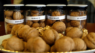 KSÜ'de kurşungeçirmez yelek ve ceviz üretildi