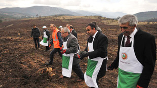 Kütahya'da 35 milyon kızılçam tohumu toprakla buluştu