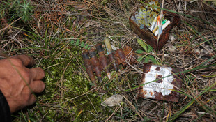 Kütahya'da ormanlık alanda mühimmat bulundu