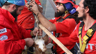 Kuyuya düşen keçiyi AKUT ekipleri kurtardı