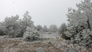 Manisa'ya mevsimin ilk karı yağdı