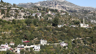 Mersinde kuduz karantinası